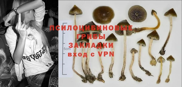 прущая мука Арсеньев