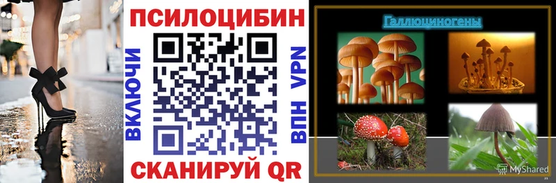 Псилоцибиновые грибы прущие грибы  где продают наркотики  Советск 
